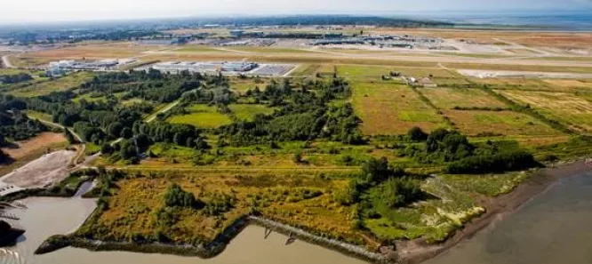 Vue aérienne du marais à marée McDonald