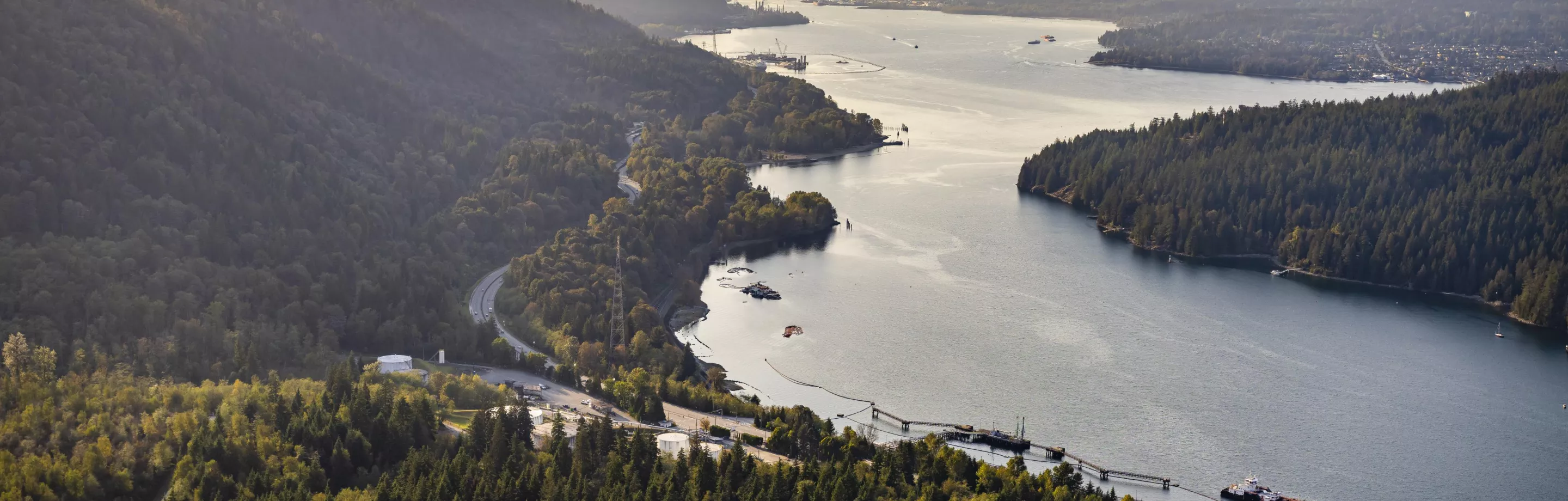 Vue aérienne du fleuve Fraser, à droite, traversant une forêt verdoyante.