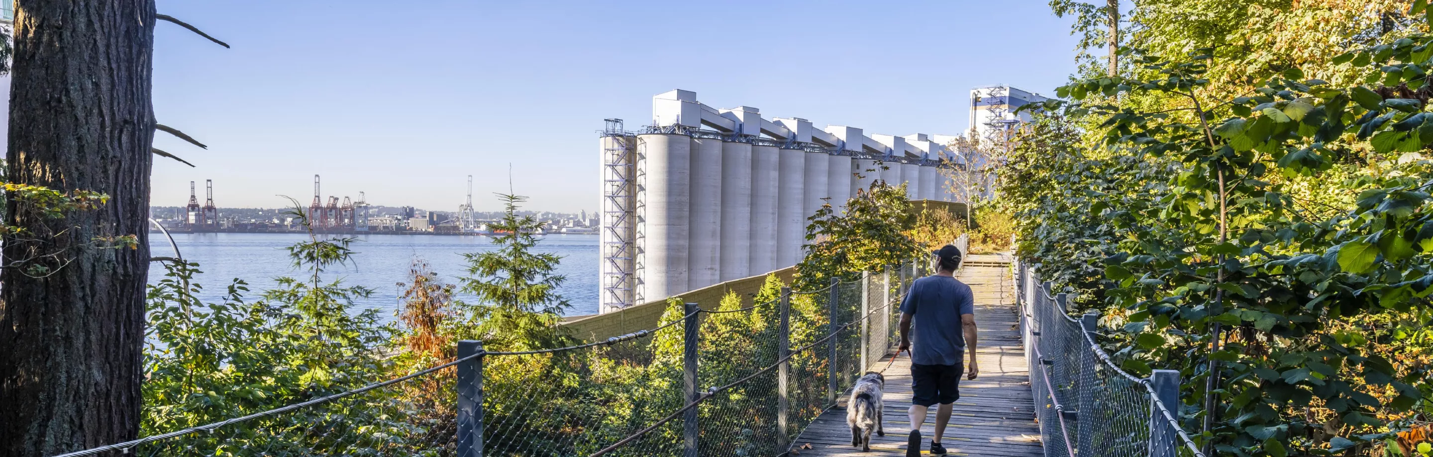 Le sentier de l'esprit à North Vancouver