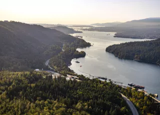 Vue aérienne du fleuve Fraser, à droite, traversant une forêt verdoyante.