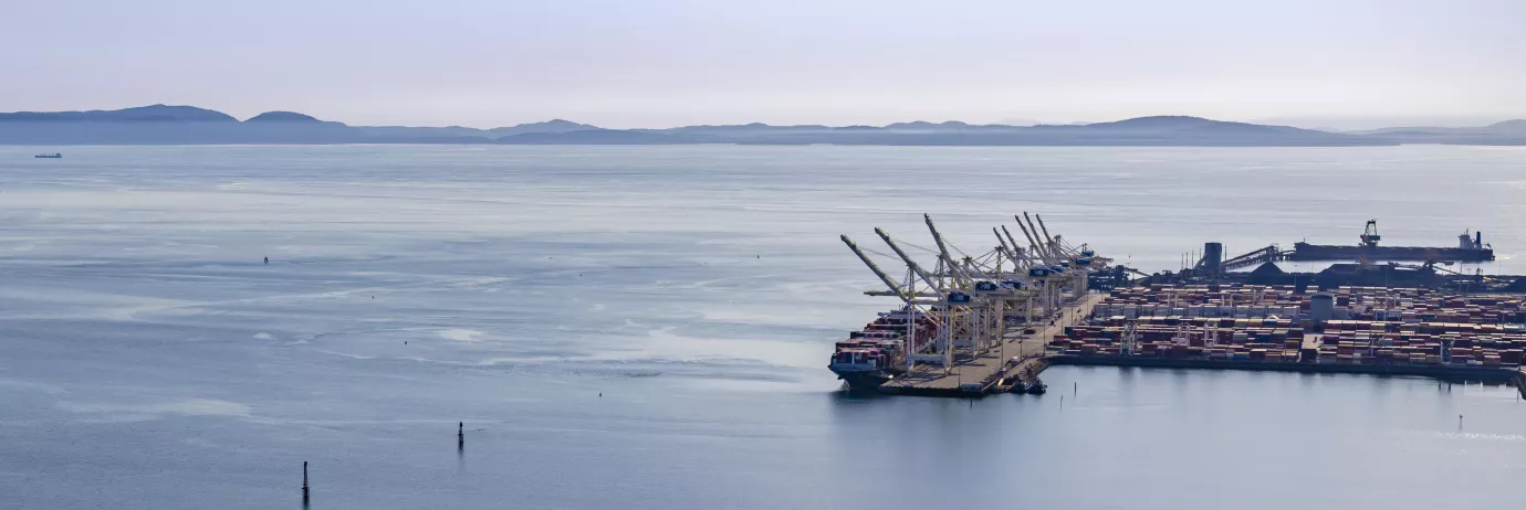 Aerial of Deltaport terminal