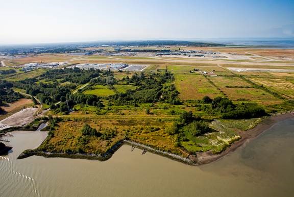 McDonald Tidal Marsh Project