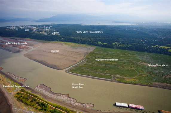Point Grey proposed