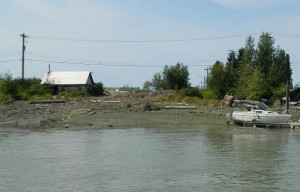 Fraser River Improvement Initiative - derelict vessels Annacis Channel AFTER